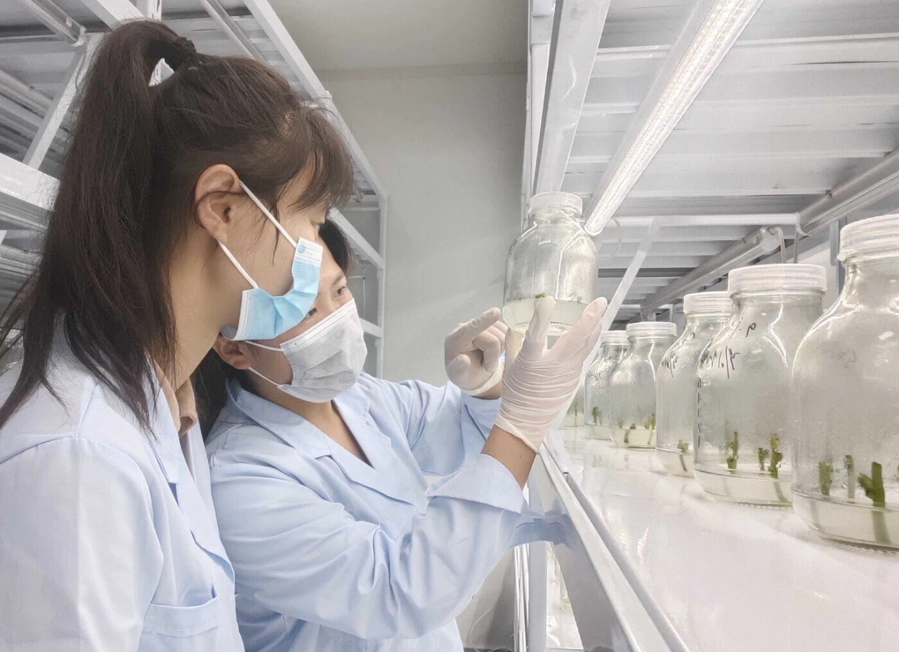 �ŵ�88��(�й���)���޹�˾����